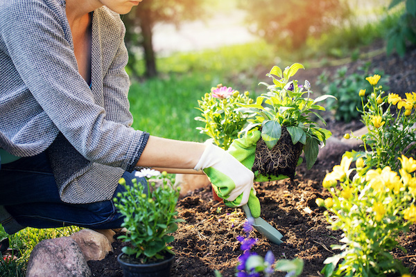 woman planting flowers